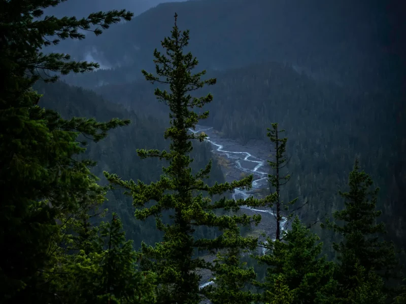 Moody River